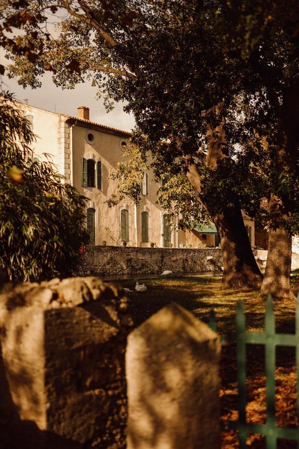 Gite Superbe L'Ecurie Xixeme Sallèles-dʼAude Exteriér fotografie