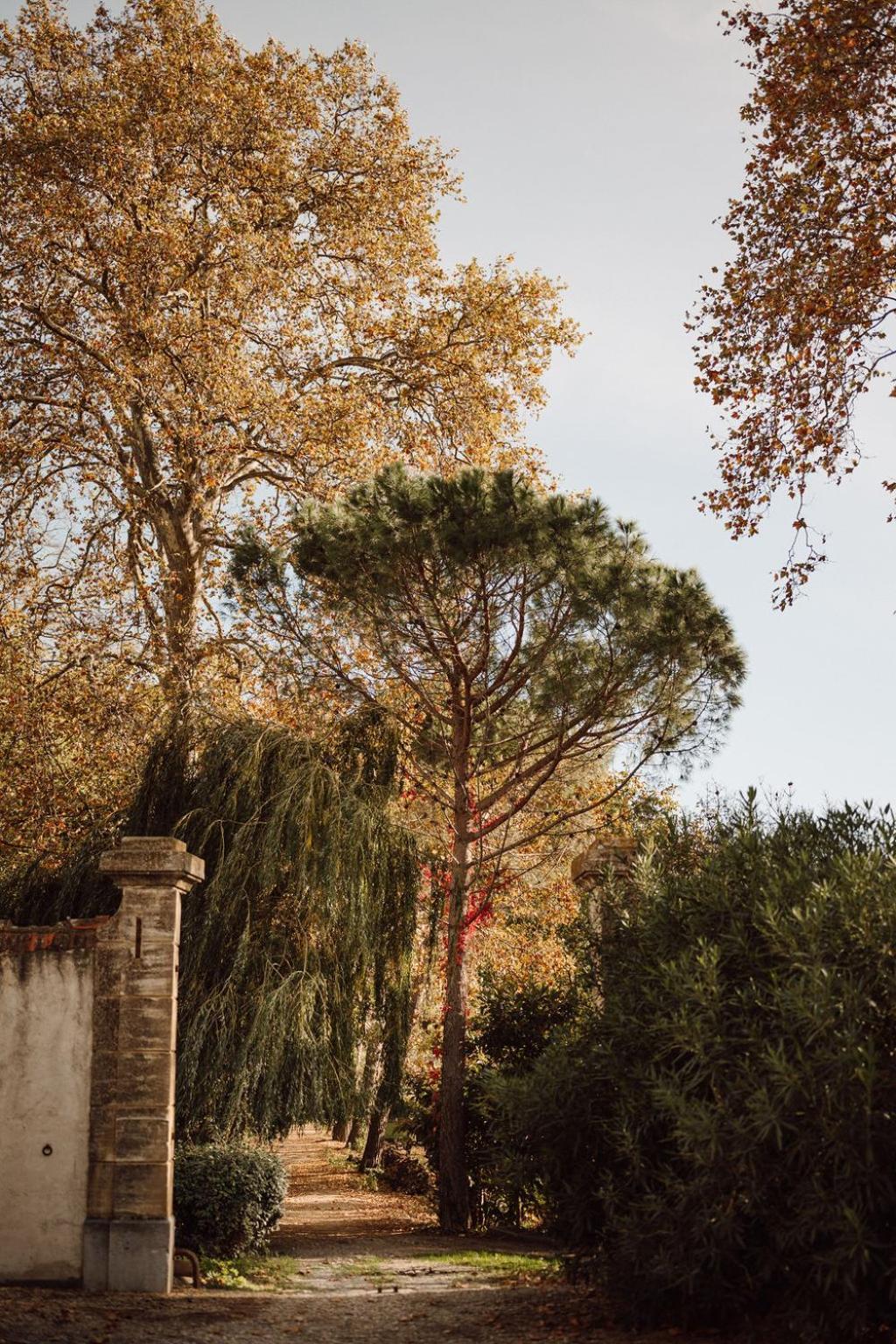 Gite Superbe L'Ecurie Xixeme Sallèles-dʼAude Exteriér fotografie